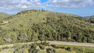 Traumhaftes Baugrundstück mit Meerblick in Canyamel